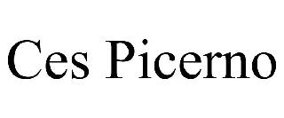 CES PICERNO