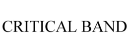 CRITICAL BAND