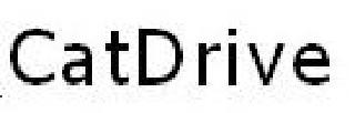 CATDRIVE