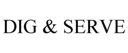 DIG & SERVE