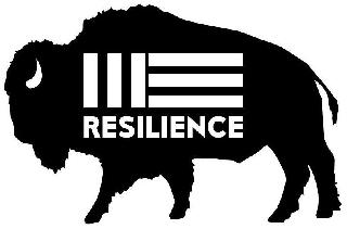 RESILIENCE