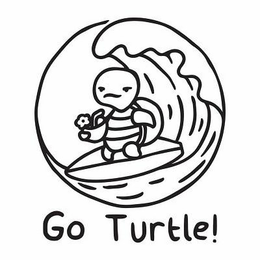 GO TURTLE!