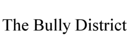 THE BULLY DISTRICT