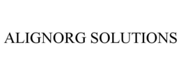 ALIGNORG SOLUTIONS
