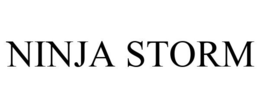 NINJA STORM