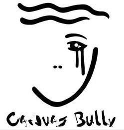 CANVAS BULLY