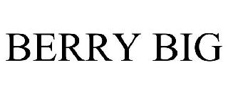 BERRY BIG