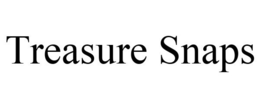 TREASURE SNAPS
