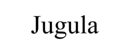 JUGULA
