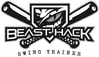 BEAST HACK SWING TRAINER