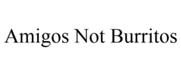 AMIGOS NOT BURRITOS