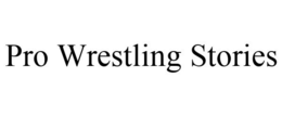 PRO WRESTLING STORIES