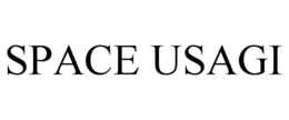 SPACE USAGI