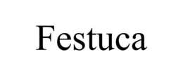 FESTUCA