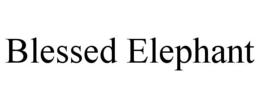 BLESSED ELEPHANT