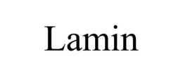LAMIN