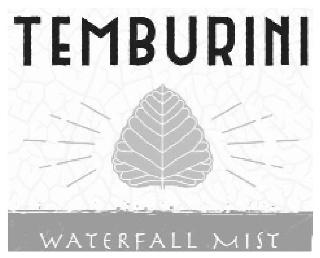 TEMBURINI WATERFALL MIST