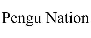 PENGU NATION