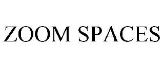 ZOOM SPACES