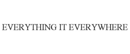 EVERYTHING IT EVERYWHERE