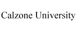 CALZONE UNIVERSITY