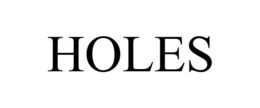 HOLES