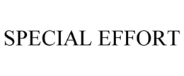 SPECIAL EFFORT