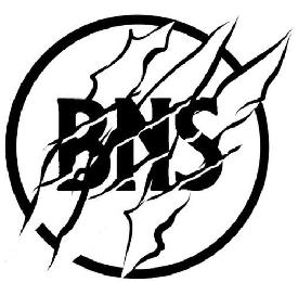 BNS