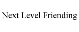 NEXT LEVEL FRIENDING