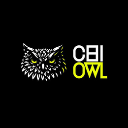 CHI OWL