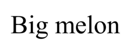 BIG MELON