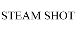 STEAM SHOT