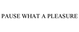 PAUSE WHAT A PLEASURE