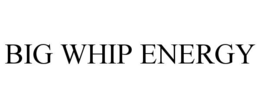 BIG WHIP ENERGY