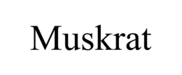 MUSKRAT