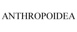 ANTHROPOIDEA