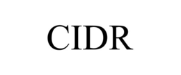 CIDR