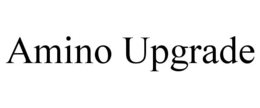 AMINO UPGRADE