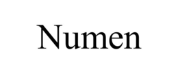 NUMEN