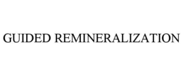 GUIDED REMINERALIZATION