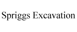 SPRIGGS EXCAVATION