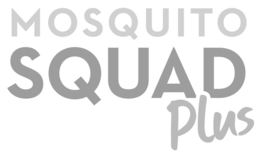 MOSQUITO SQUAD PLUS