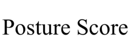 POSTURE SCORE