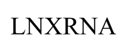 LNXRNA