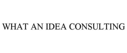 WHAT AN IDEA CONSULTING