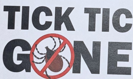 TICK TIC GONE